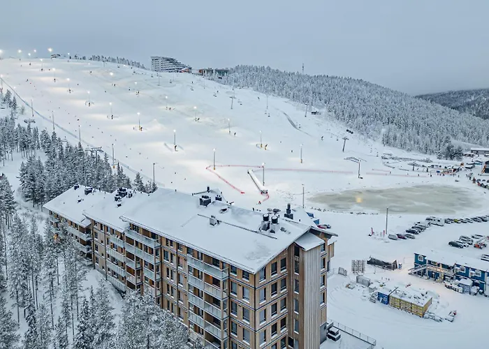 Levillas Front * Levi